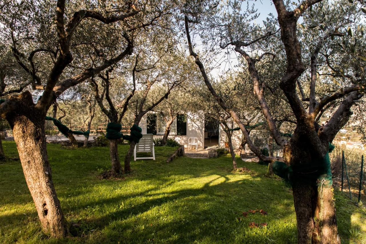 Agri Bed - L'Affittacamere In Collina - Guest Room On The Hill Lavagna Exterior photo