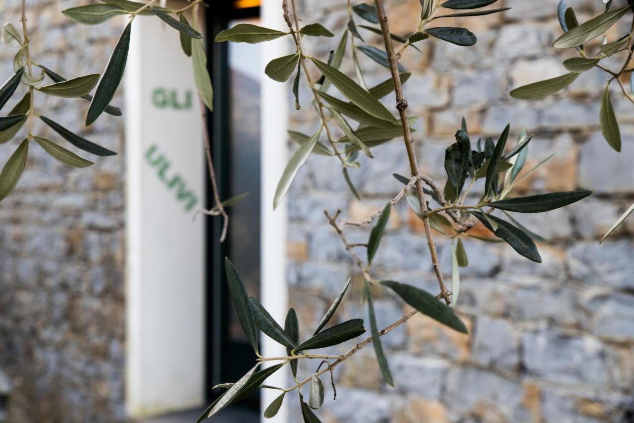 Agri Bed - L'Affittacamere In Collina - Guest Room On The Hill Lavagna Exterior photo