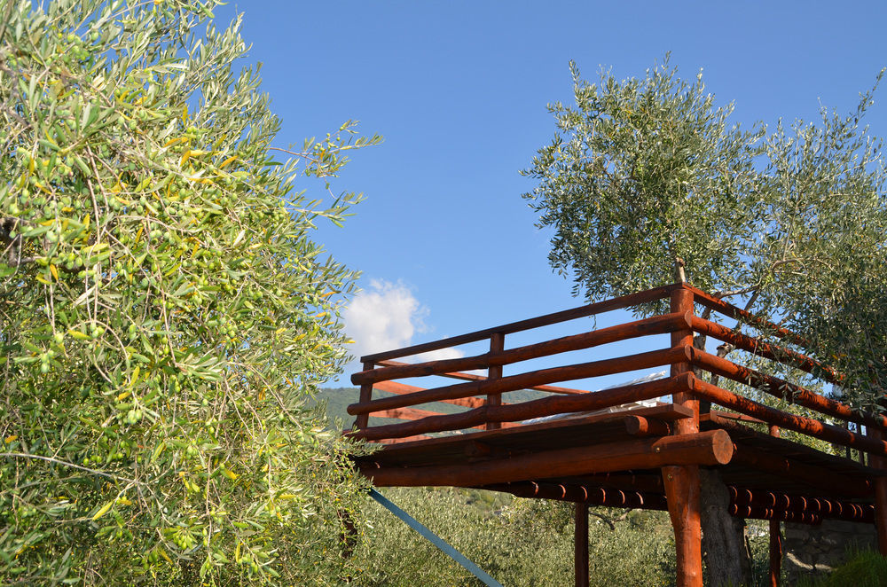 Agri Bed - L'Affittacamere In Collina - Guest Room On The Hill Lavagna Exterior photo